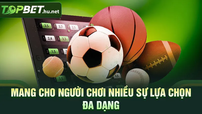 Mang cho người chơi nhiều sự lựa chọn đa dạng